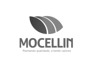 mocellin